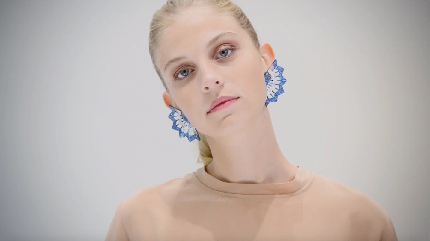 Diamond and Sapphire Titanium Dragonfly Earrings by Garaude Paris